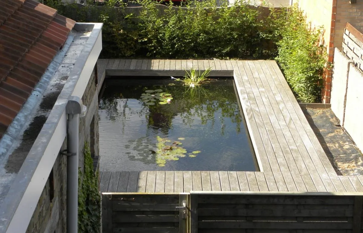 Houten vlonder rond een vijver met waterlelies, van bovenaf gezien